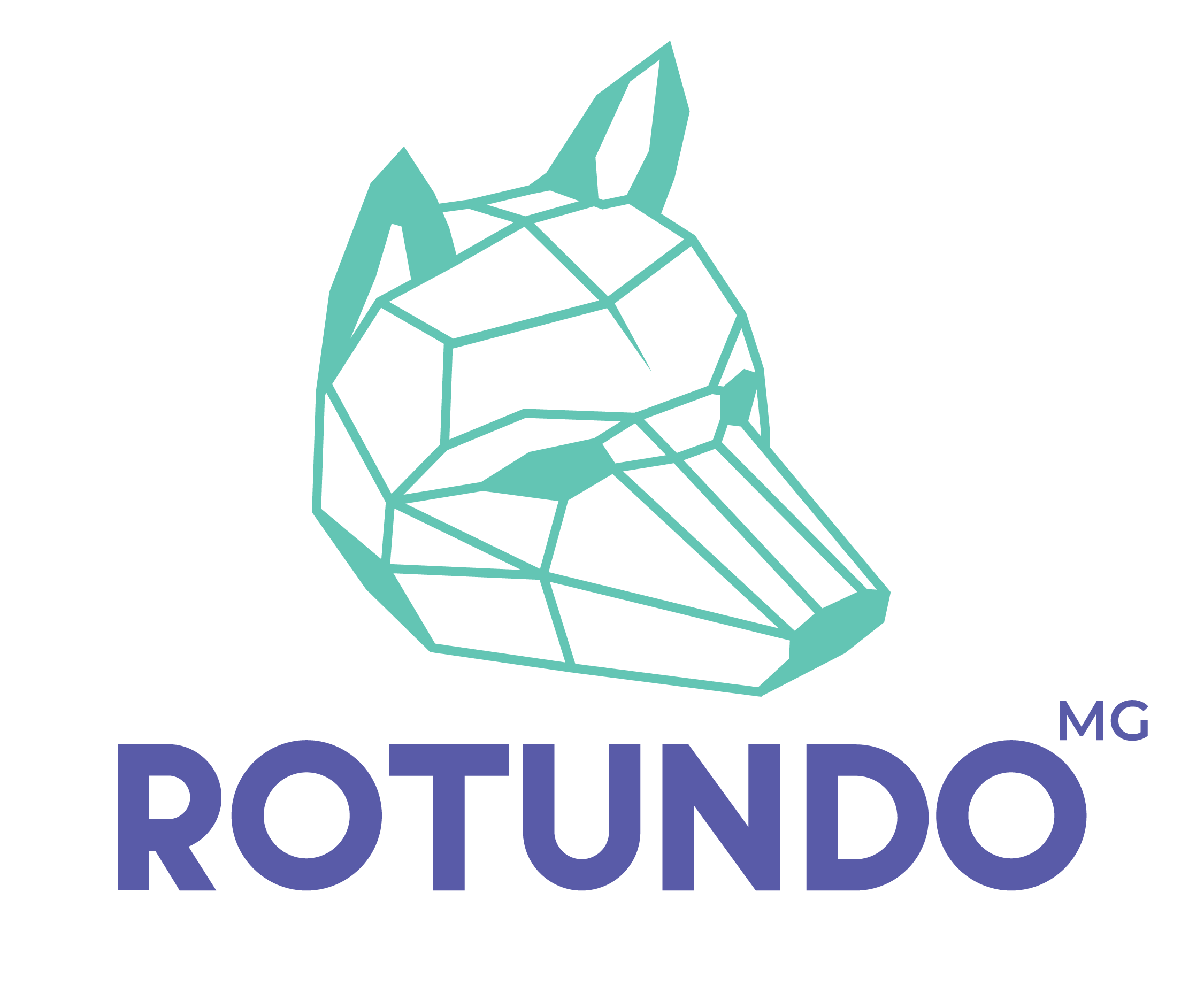 Rotundo Media Group